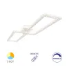 BRY-CRYSTAL-D-55W-3IN1-RMT-WHT-CEILING LIGHT