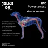 Šuns pakinktai Julius K9 IDC Kaubojus 2 Baby 2 (XS/S)