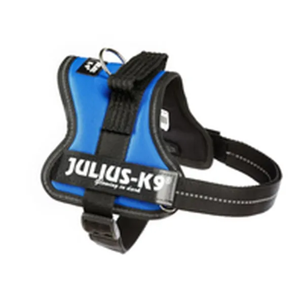 Koera rakmed Julius K9 Power Sinine M
