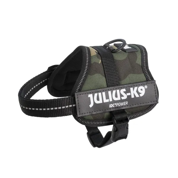 Šuns pakinktai Julius K9