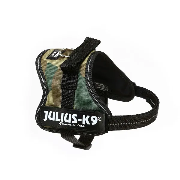Koera rakmed Julius K9 Power S