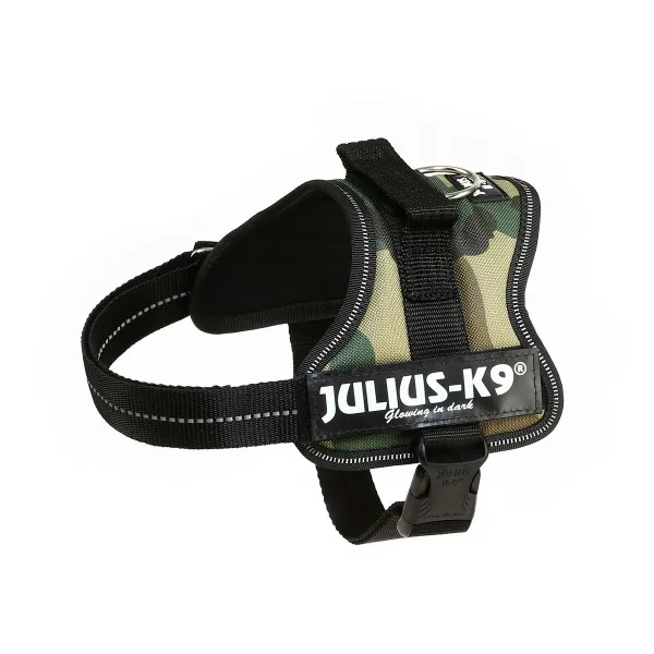 Koera rakmed Julius K9 Power M