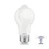 BRY-ADVANCE-9W-MO.SENS.-E27-A60-3000K-LED BULB