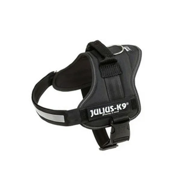 Koiran valjaat Julius K9 Power Musta M/L