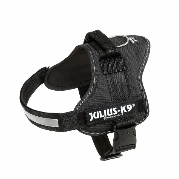 Koiran valjaat Julius K9 Power Musta M/L