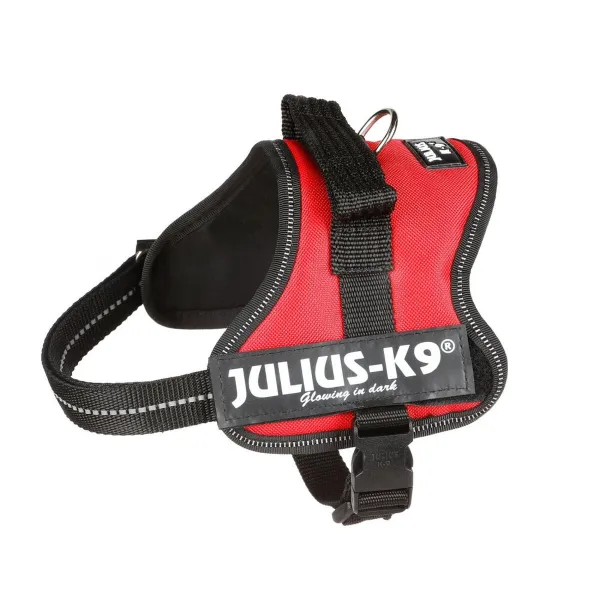 Koera rakmed Julius K9 Power Punane S