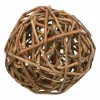 Pet Ball Trixie Ø 13 cm Wood