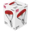 Infra Bulb R95 E27 100W Red