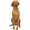 Dog collar Trixie BE NORDIC Sand M 45 cm