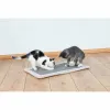 Kačių draskyklė Trixie Pilka Šviesiai pilka Poliesteris Sizalis EVA 55 × 35 cm