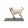 Koera vaip Trixie Hall 100 × 70 CM Imav