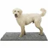 Koera vaip Trixie Hall 100 × 70 CM Imav