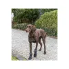 Kāju aizsardzības staigulis Trixie Melns XS/S
