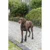 Kāju aizsardzības staigulis Trixie Melns XS/S