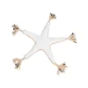 Dog toy Trixie Polyester Cotton 32 cm Brown Starfish