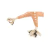Dog toy Trixie Polyester Cotton 32 cm Brown Starfish