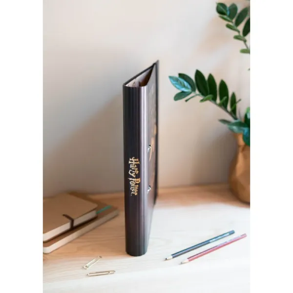 Harry Potter - A4 binder (2 rings, elastic)