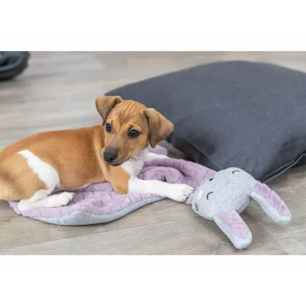 Mājdzīvnieku sega Trixie 038242 Ceriņš Gaiši pelēks 55 x 40 cm