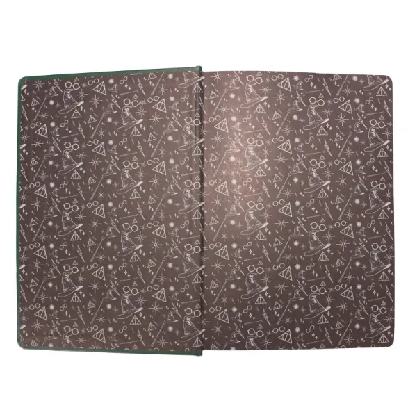 Harry Potter - Notebook / Notebook A5 Slytherin