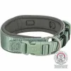 Dog collar Trixie Premium Green Graphite S/M 33-42 cm