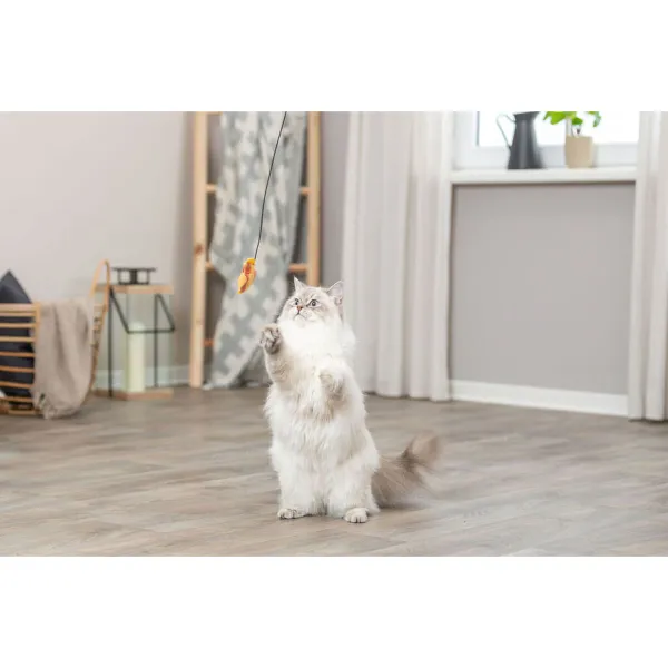 Cat toy Trixie Fish 46 cm