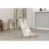 Cat toy Trixie Fish 46 cm