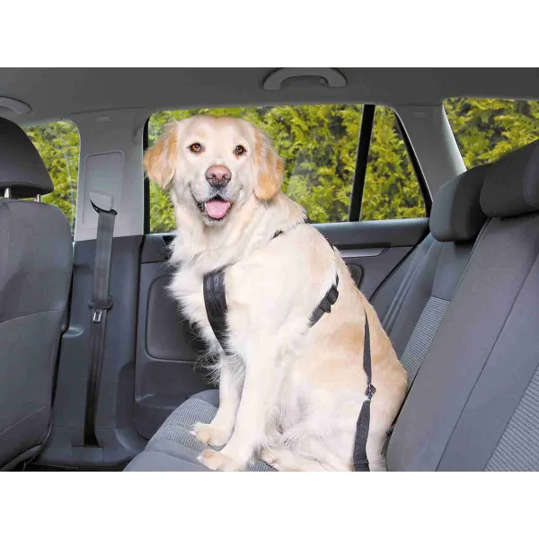Dog Harness Trixie Black M