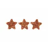 Suņu uzkodas Trixie Xmas Stars 100 g