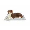 Šunų lova Trixie Livia Soft Pilka 90 x 60 cm