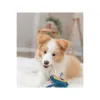 Soft toy for dogs Trixie 47 cm