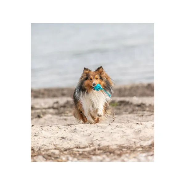 Lemmikin pallo Trixie Turkoosi TPE Kamuolys ø 6 x 23 cm