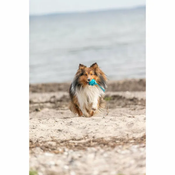 Lemmikin pallo Trixie Turkoosi TPE Kamuolys ø 6 x 23 cm