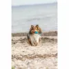 Lemmikin pallo Trixie Turkoosi TPE Kamuolys ø 6 x 23 cm