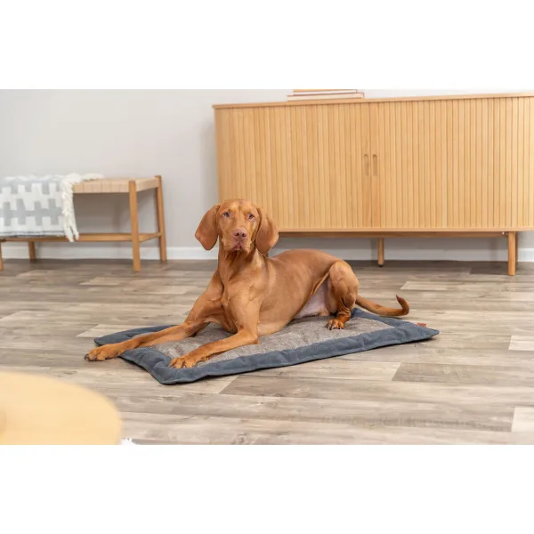 Airbed Trixie Be Nordic Föhr Black Sand 100 x 70 cm