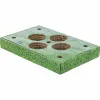 Snack tray Trixie Green Cardboard 28 x 3,8 x 18 cm