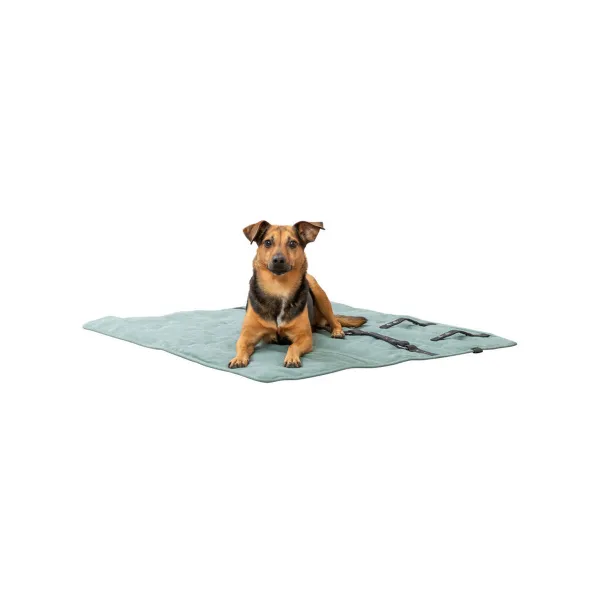 Pet blanket Trixie CityStyle Green Polyester Cotton 80 × 80 cm
