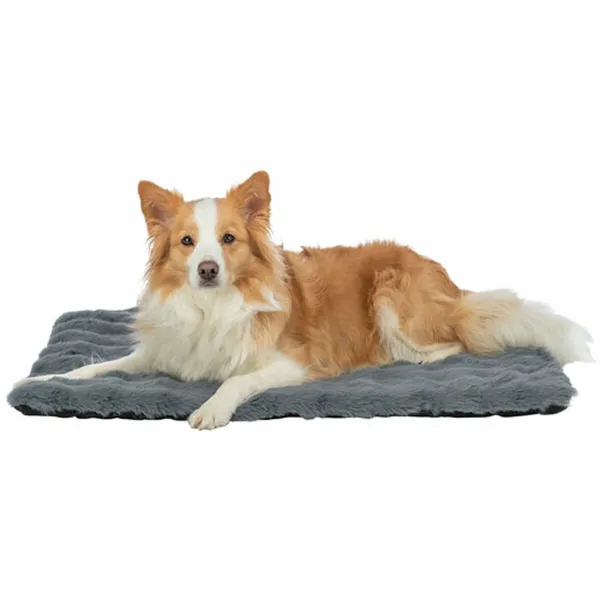 Airbed Trixie Dark grey 70 × 50 cm Dog
