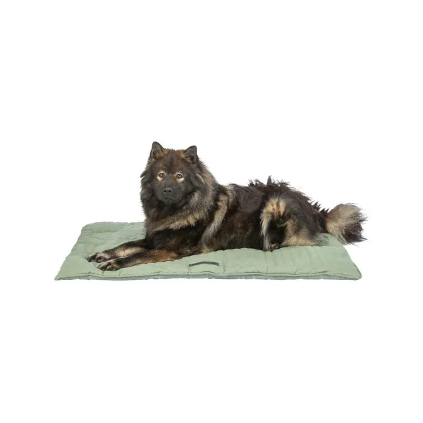 Airbed Trixie 70 × 50 cm Dog