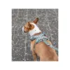 Koera rakmed Trixie Premium FlexMesh S-M