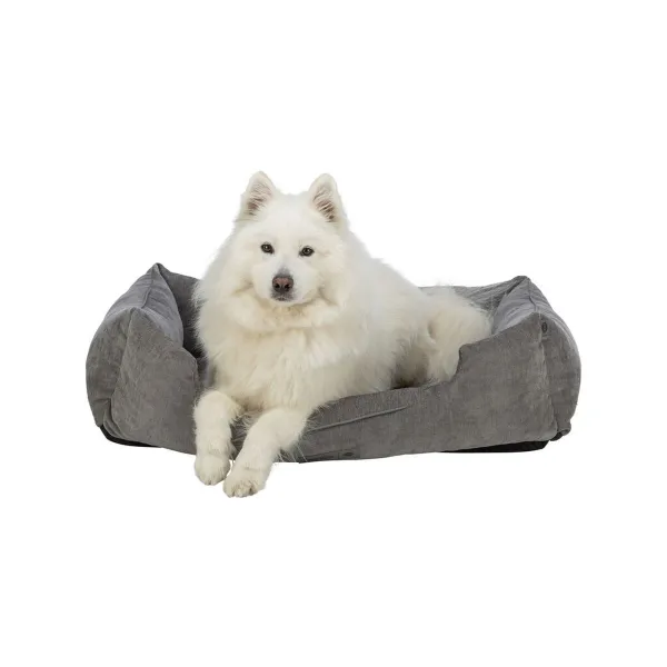 Koiran peti Trixie Vital Lennox Harmaa 120 x 80 cm