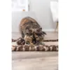 Raapimapuu kissalle Trixie Leo Ruskea Polyesteri Sisal EVA 55 x 35 cm Matto