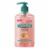 Hand Soap Dispenser Sanytol 280120 Kitchen 250 ml