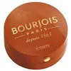 Blush Little Round Bourjois