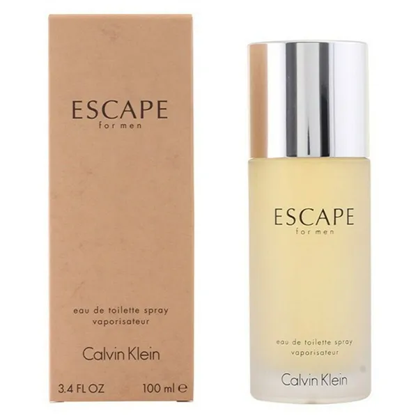 Men's Perfume Calvin Klein 122757 EDT 100 ml