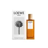 Men's Perfume Loewe Solo EDT