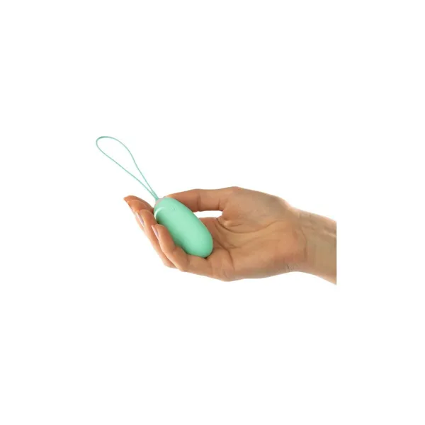 Egg Vibrator Diversual