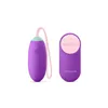 Egg Vibrator Diversual Purple