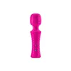 Vibrator FemmeFunn Pink