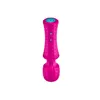 Vibrator FemmeFunn Pink