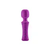 Vibrator FemmeFunn Purple